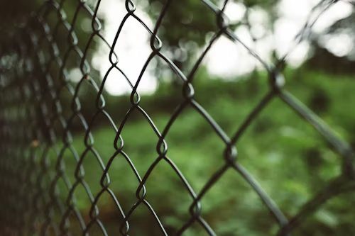 Black vinyl-coated chain link fence