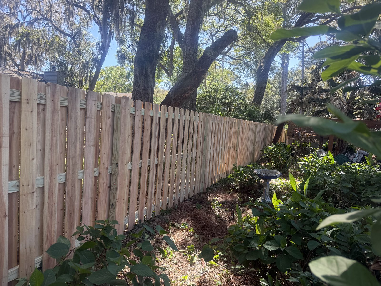 Shadow box wood fence in coastal Georgia